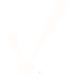 ignition-check-white-75